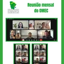 Arte com registros de uma reunião mensal remota da equipe do OMEC